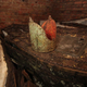 An Archbishop’s gold Mitre rests atop a lead coffin. (Image: Garden Museum)